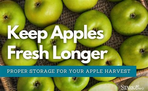 keeping apples fresh