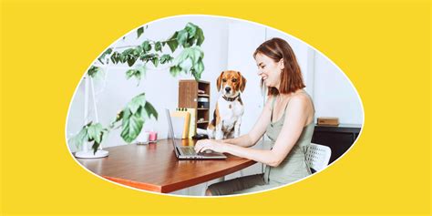 Keeping Dog In Bedroom While At Work