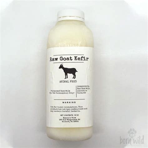 kefir for dogs where to buy
