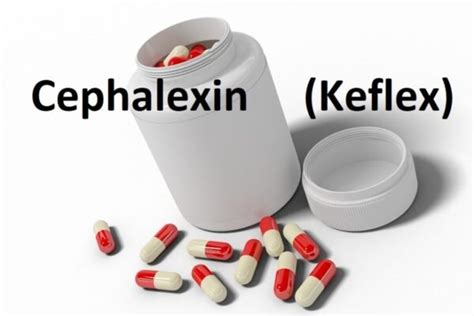 keflex antibiotics dosage keflexinfo24
