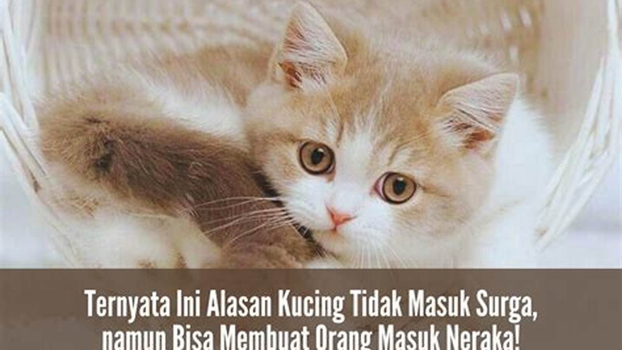 Mengapa Kucing Tak Bisa Masuk Surga? Mitos atau Fakta?