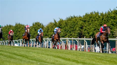 kenilworth horse racing tips for today