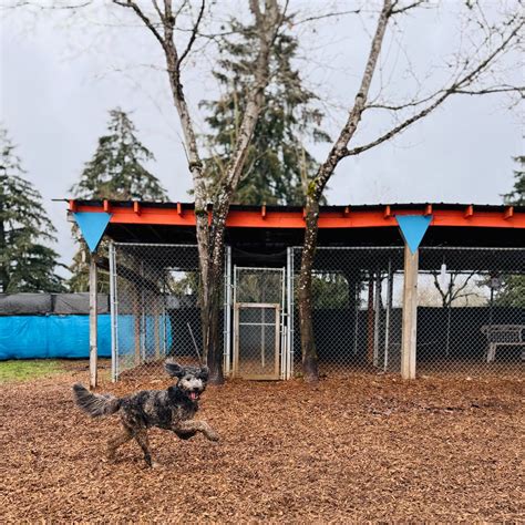 Kennels In Eugene
