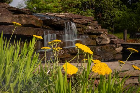 Kent State Quiet Hours