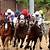 kentucky derby 2020 horses odds jockeys