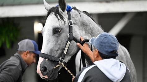 Trackside View » Analyses of Kentucky Derby Contenders
