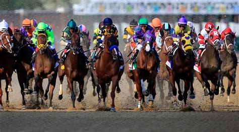 kentucky derby horses