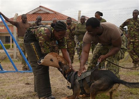 kenya defence force training