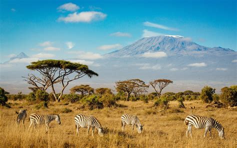 Kenya Desktop Wallpaper