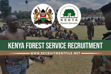 kenya forest service career portal