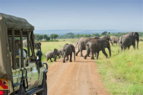 kenya luxury safari senior tours