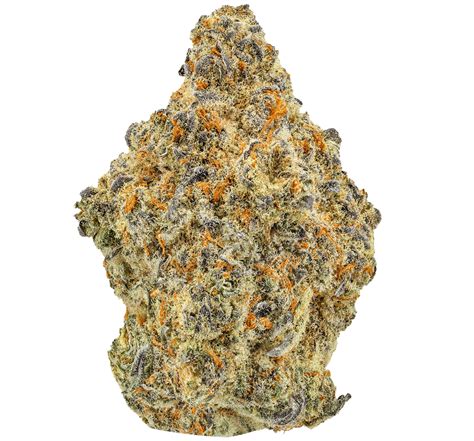 The Mystery Behind the Kept Secret Strain Revealed