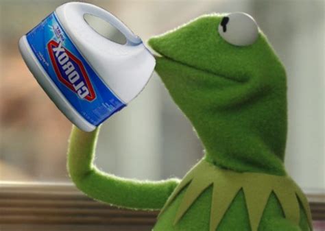 Kermit With Bleach