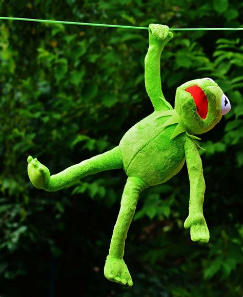 Kermit With Rope