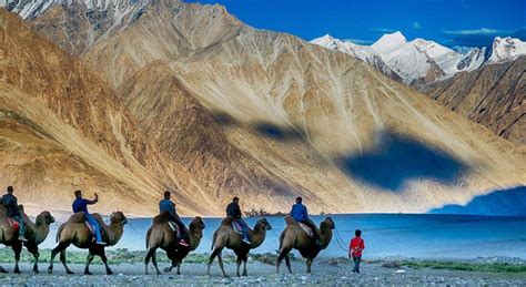kesari tours and travels leh ladakh