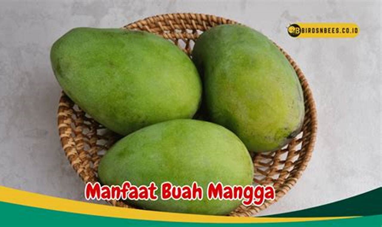 Temukan 7 Manfaat Buah Mangga untuk Kesehatan yang Jarang Diketahui, Salah Satunya Memperlancar Pencernaan