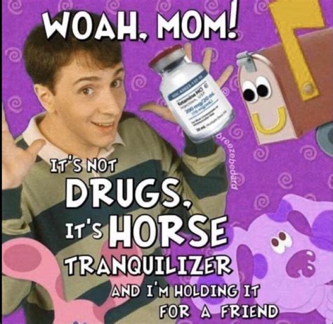 ketamine a horse tranquilizer meme