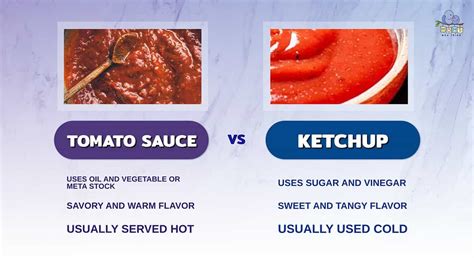 Ketchup Sauce Difference