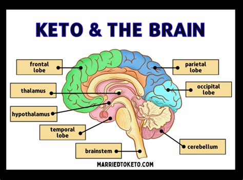 Keto And Brain Function