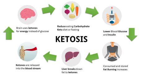 ketosis process