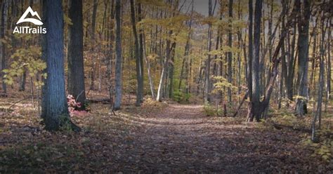 Kettle Moraine State Forest Northern Unit: A Natural Haven In Wisconsin