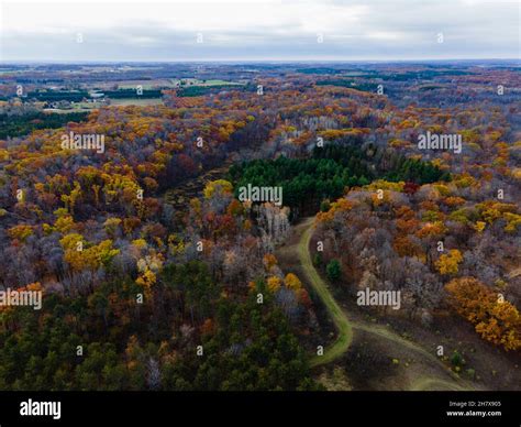 Kettle Moraine Forest