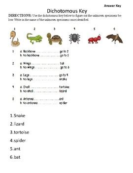 Key Activity Example