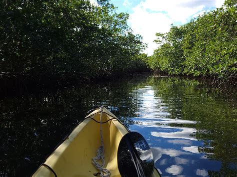 Pin by Olga Ibarra on Kayaking Miami tour, Florida state parks