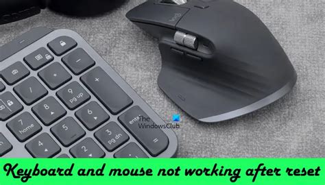 Keyboard And Mouse Not Working Windows 11