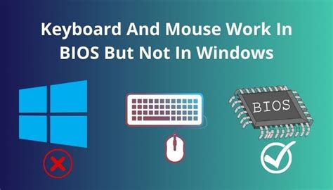 Keyboard And Mouse Work In Bios Not Windows