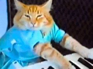 Keyboard Cat Juego