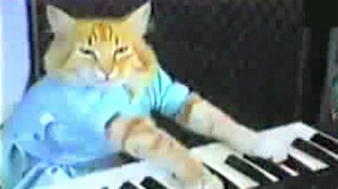 Keyboard Cat Know Your Meme