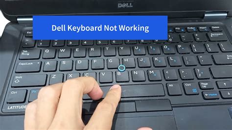 keyboard does not work dell laptop