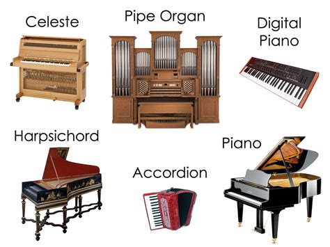 Keyboard Instruments In Orchestra