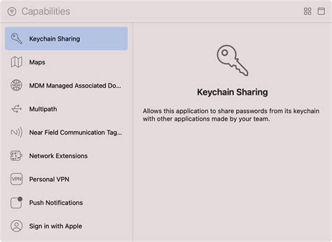 Keychain Access Groups Entitlement