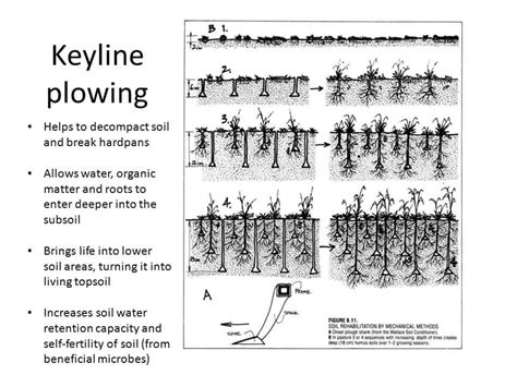 Keyline Irrigation System