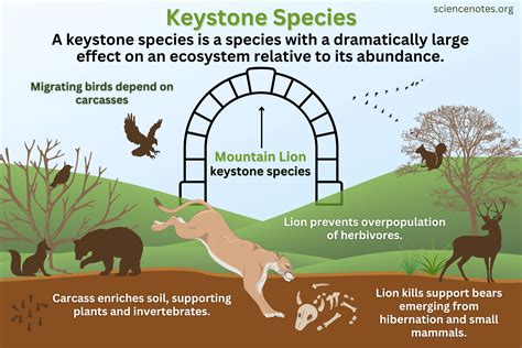 Keystone Environment Definition