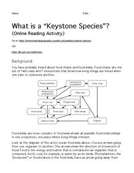 Keystone Species Worksheet Pdf