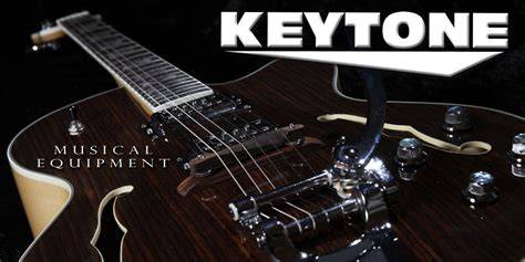 KEYTONE E GITARRE ST VINTAGE DESIGN & ZUBEHÖR GitarrenBässeAmps E