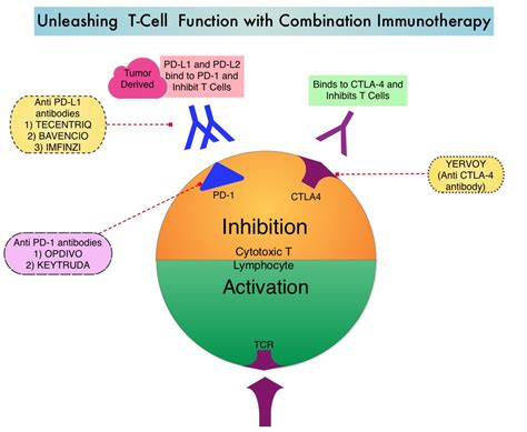 keytruda for melanoma treatment