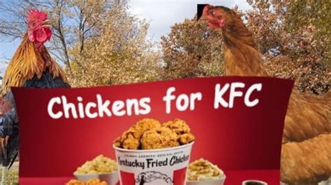Kfc Meme