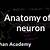 khan academy neuron
