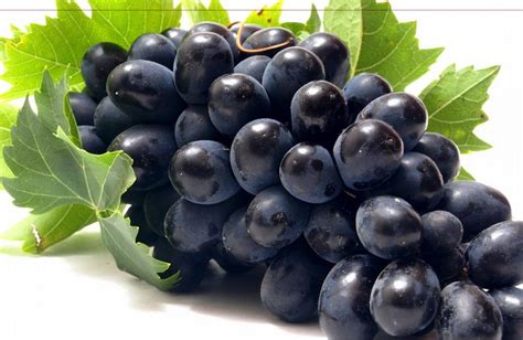 Manfaat Buah Anggur Hitam yang Menakjubkan Untuk Kesehatan Berbagi