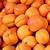 khasiat buah aprikot