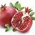khasiat buah delima dalam islam