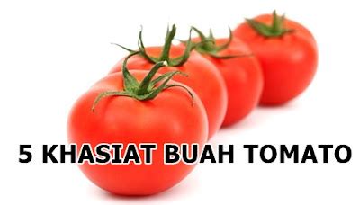 5 Kebaikan Dan Khasiat Buah Tomato Zon Bayi