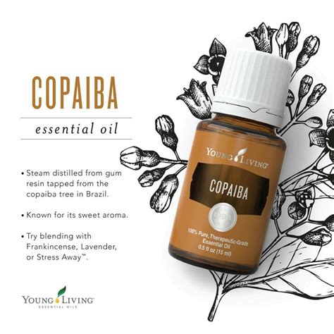 Terbaru Copaiba 5 ml Young Living Essential Oil segel Original Shopee