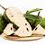 khasiat durian belanda untuk ibu hamil