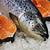 khasiat ikan salmon