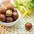 khasiat kacang macadamia